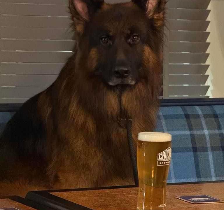 Photo of Others in Bridge Of Earn