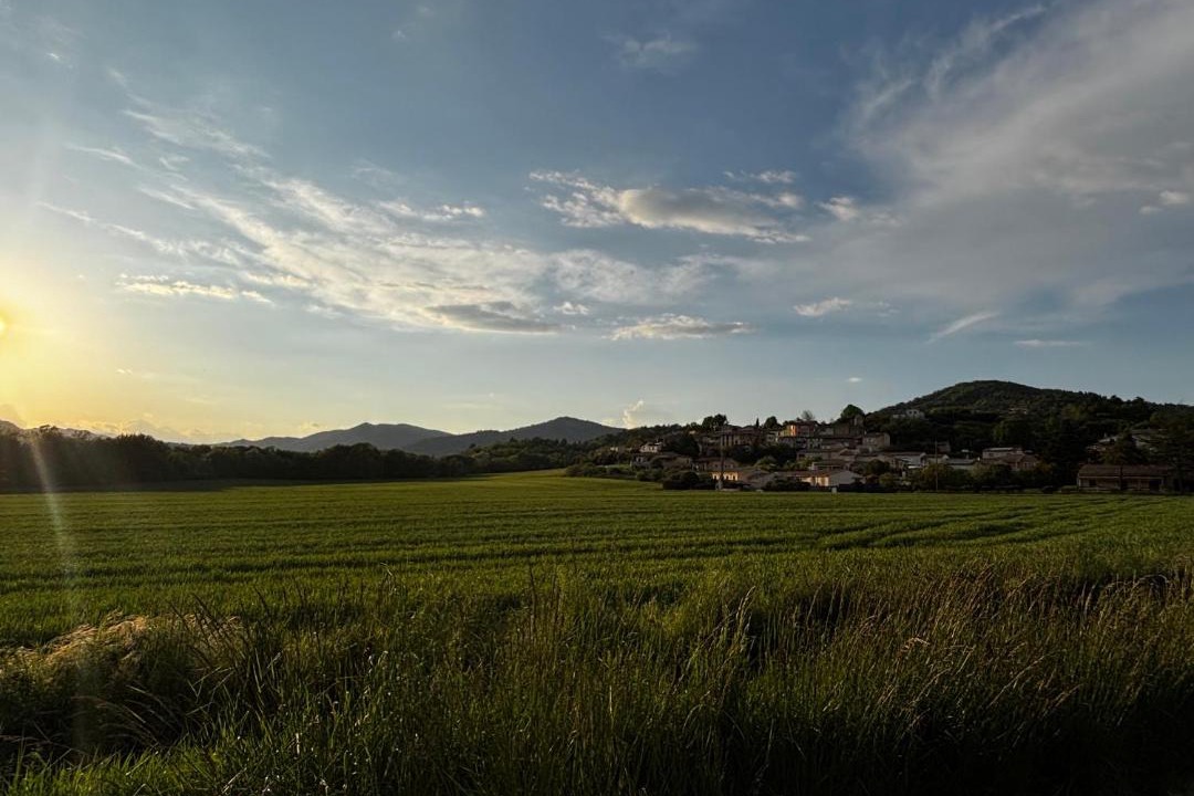 Photo of Others in Mallemoisson