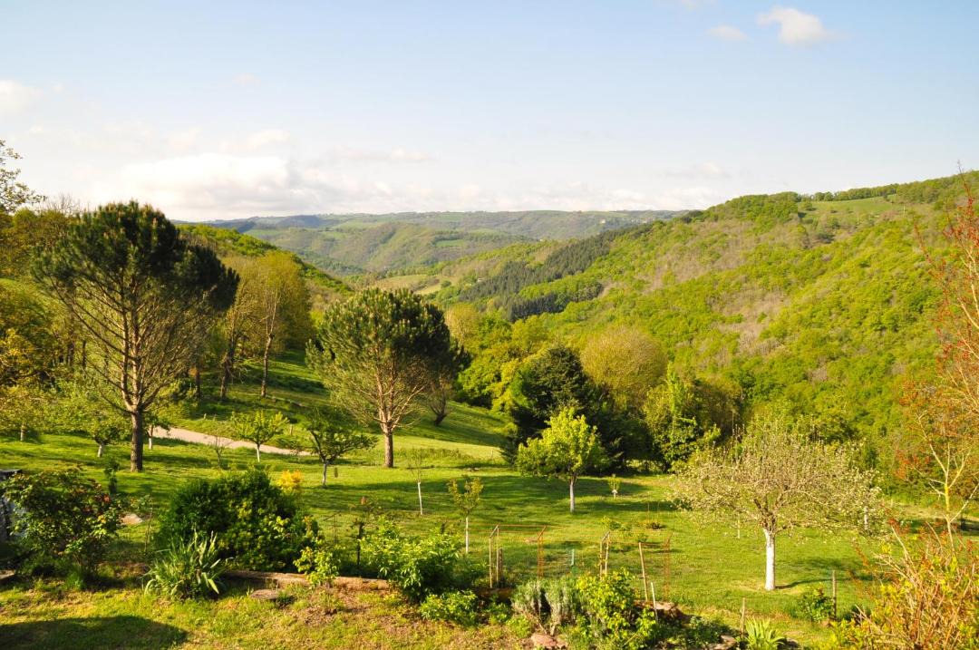Photo of Others in Trebas