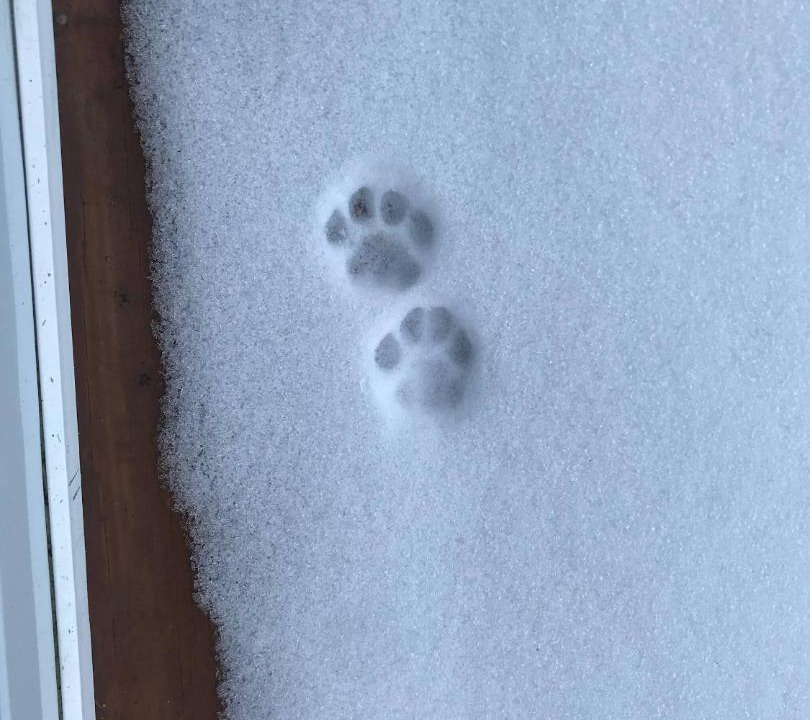 Photo of Others in Warren