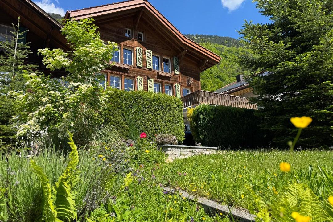 Photo of Others in Goldswil