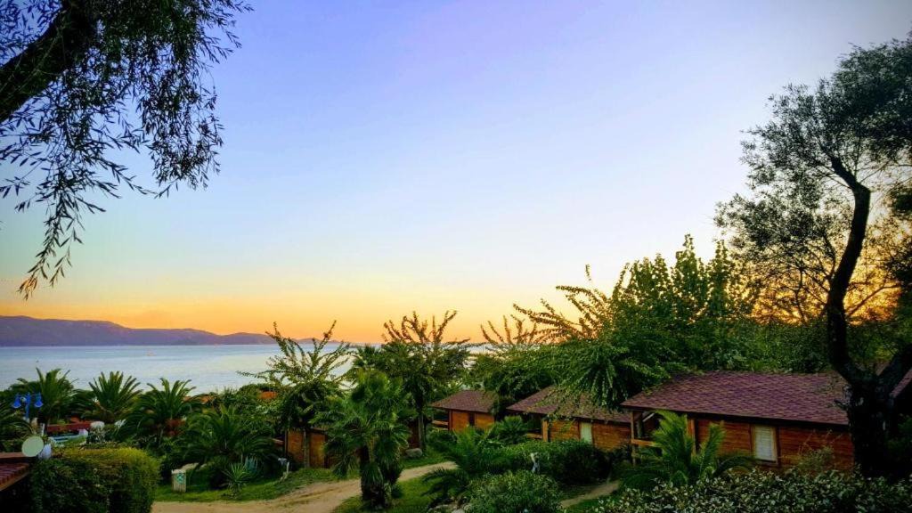 Photo of Others in Porto Pollo