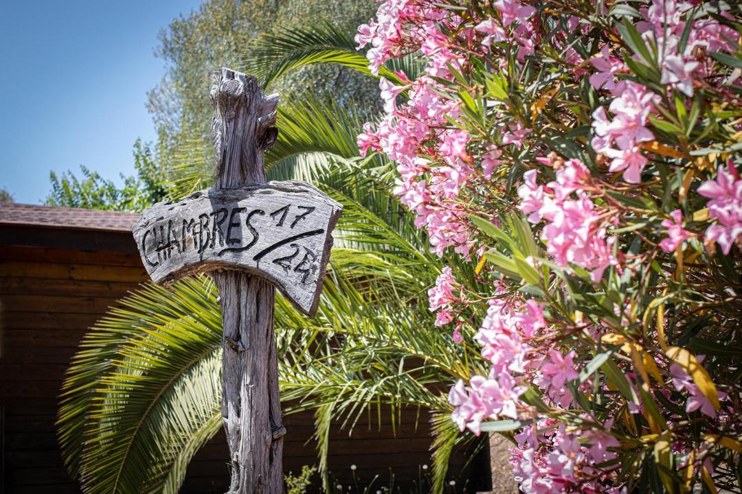 Photo of Others in Porto Pollo