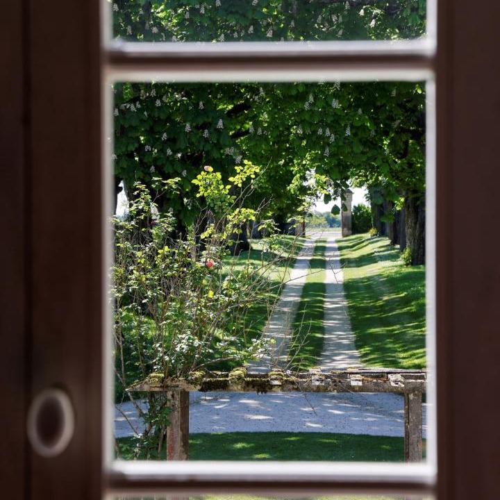 Photo of Others in Pons