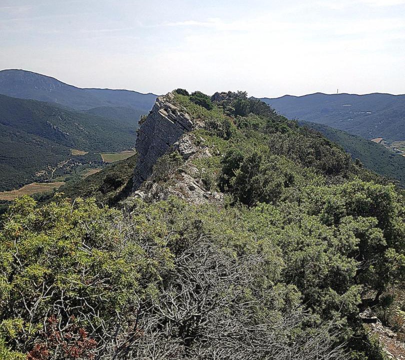 Photo of Others in Duilhac-sous-Peyrepertuse