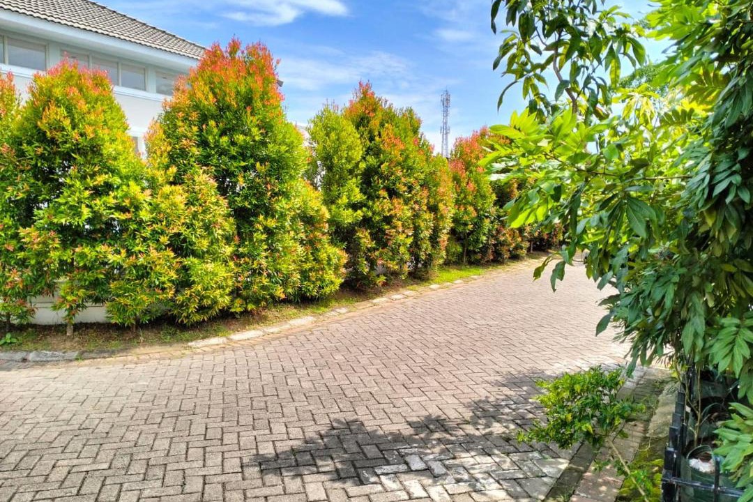 Photo of Outdoor in Tetebatu