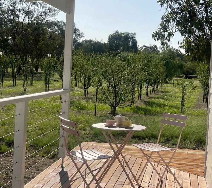 Photo of Others in Bearii