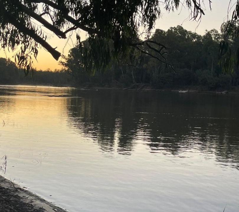 Photo of Others in Bearii