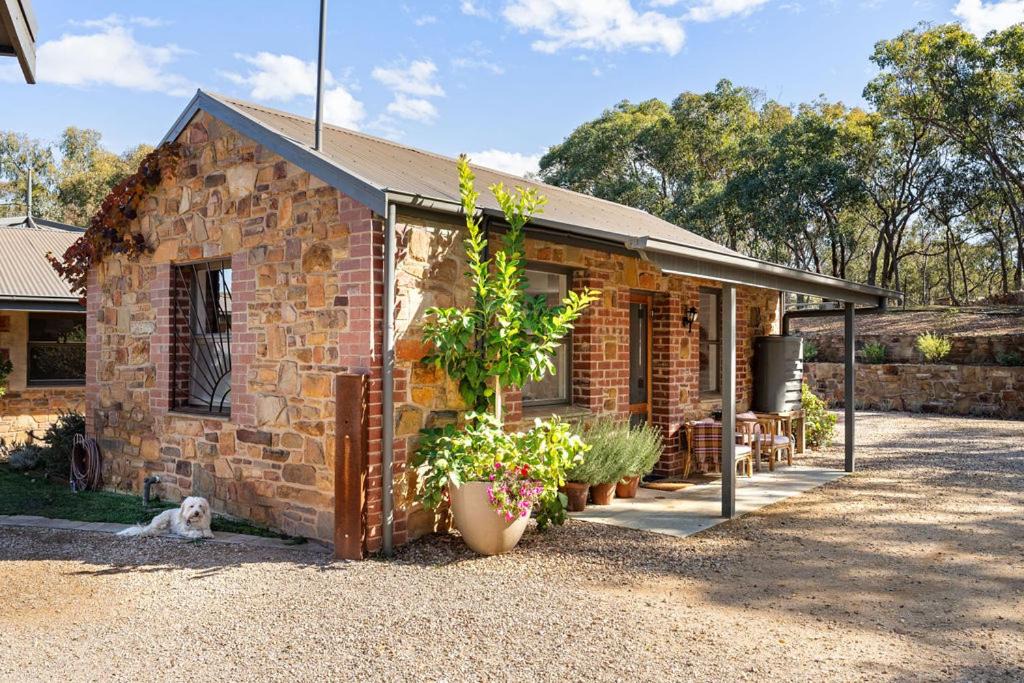 Photo of Others in Castlemaine