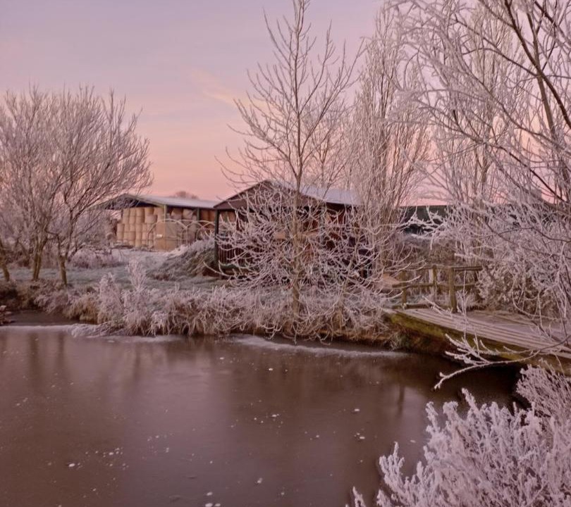 Photo of Others in Newborough