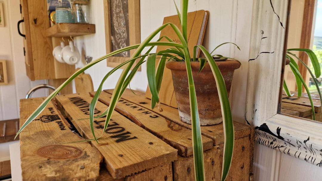 Photo of Others in Urra