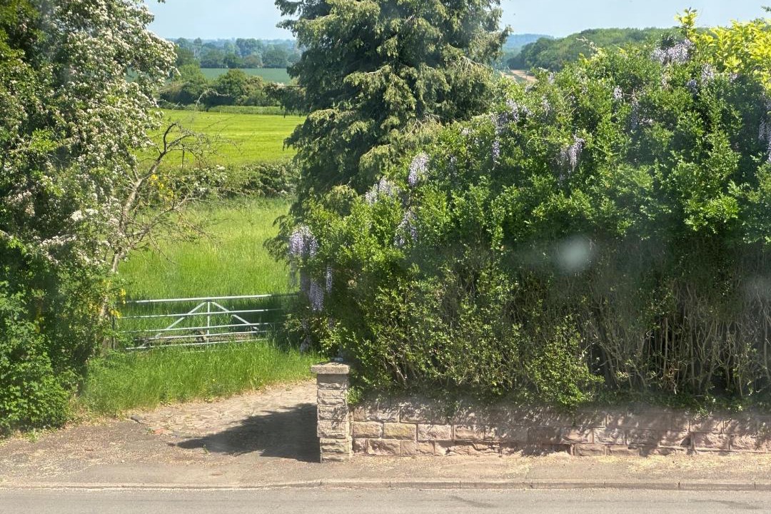 Photo of Others in Newport