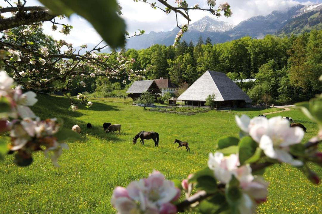 Photo of Others in Schwanden bei Brienz