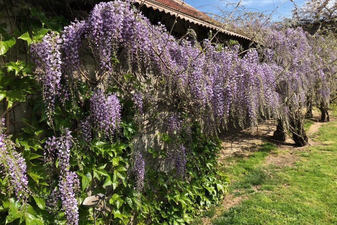 Photo of Others in Lere