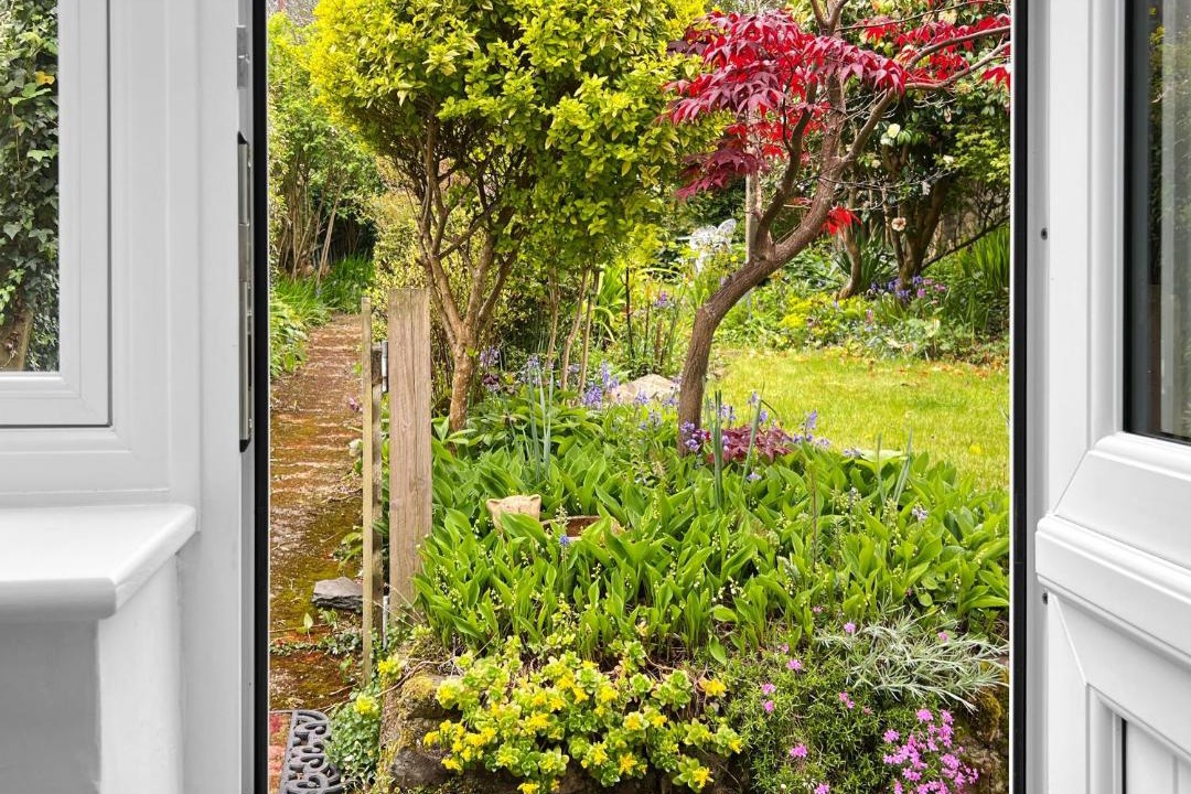 Photo of Others in Porlock