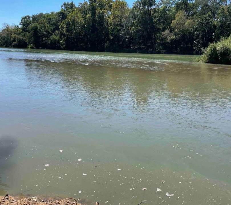 Photo of Others in Smithville
