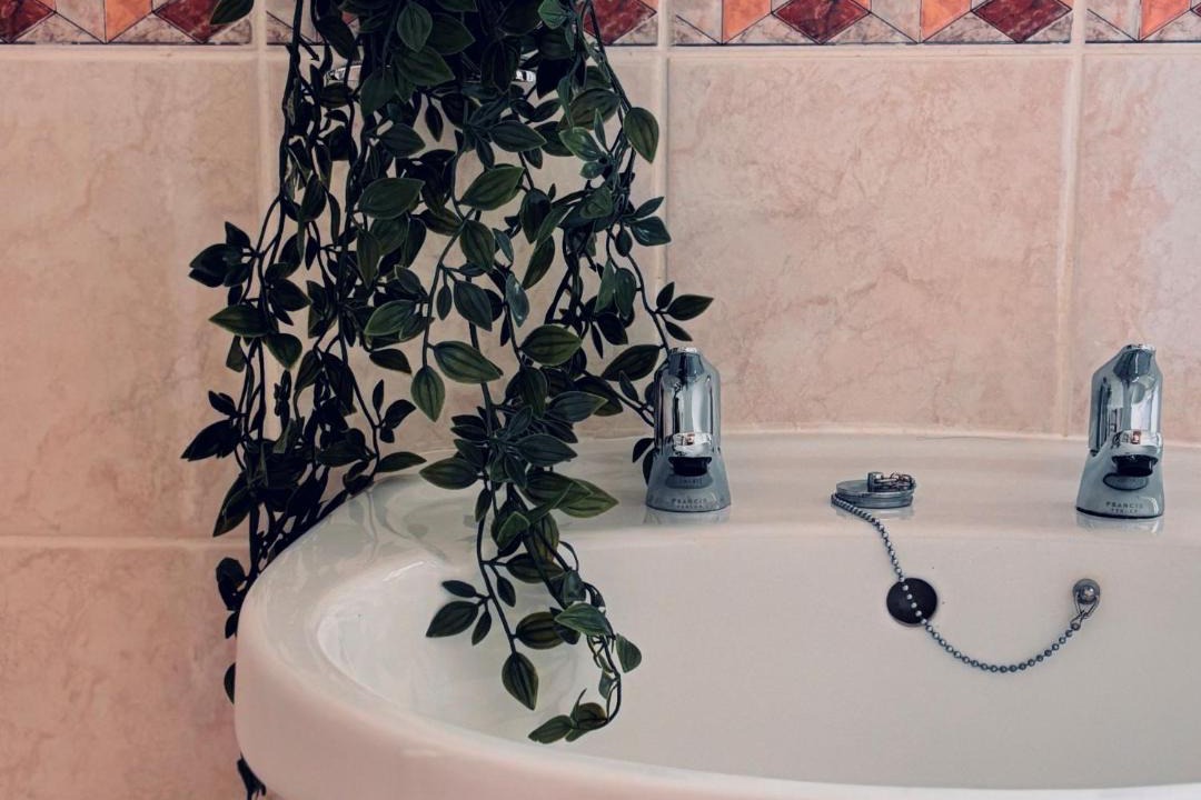 Photo of Others in Gigha