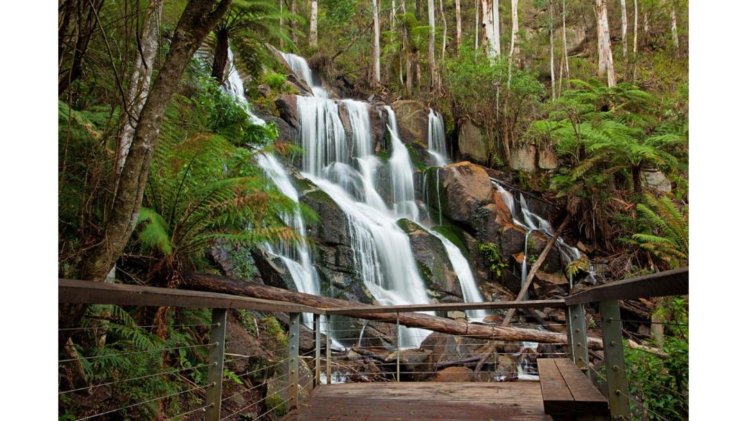 Photo of Others in Neerim South