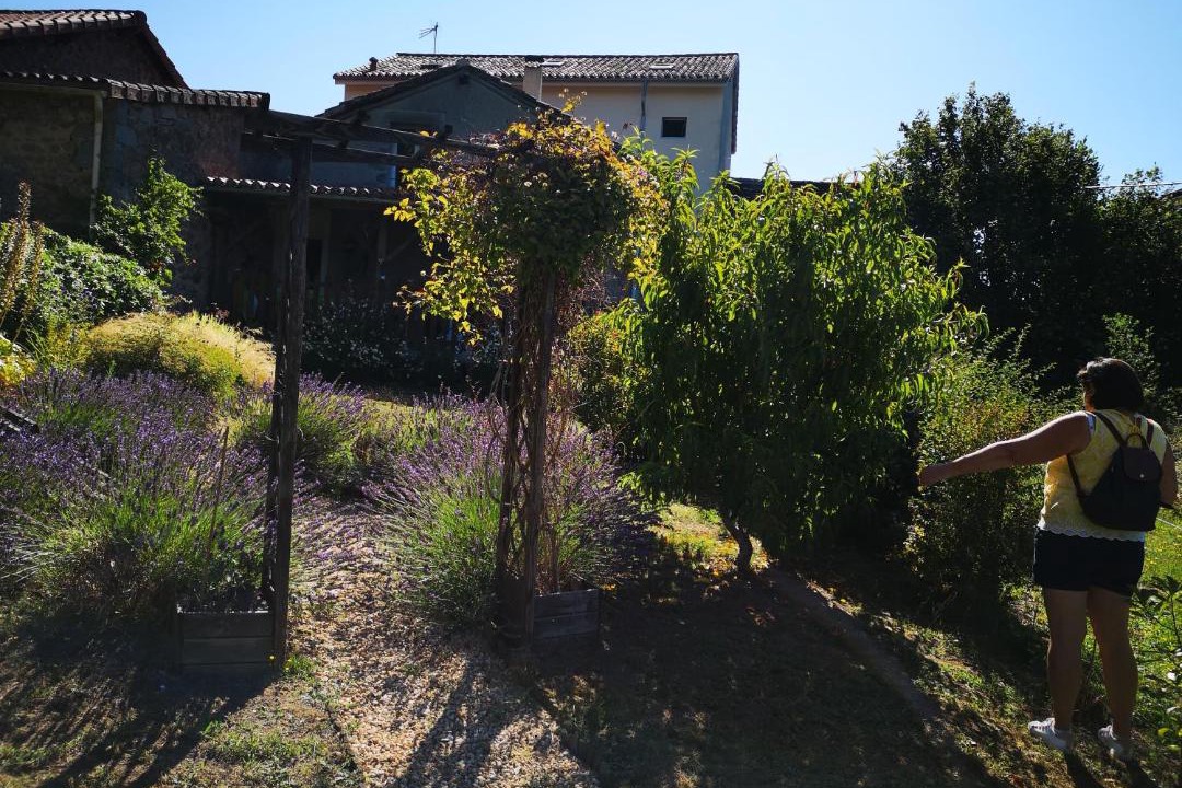 Photo of Outdoor in Saint-Estephe