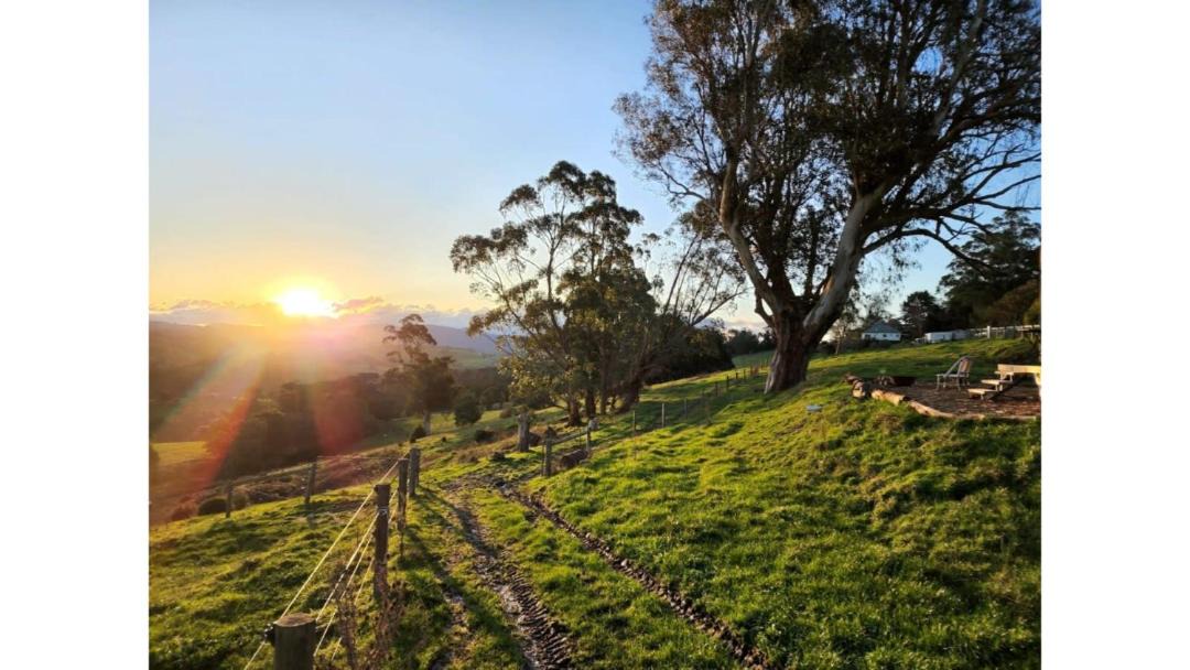 Photo of Others in Neerim South