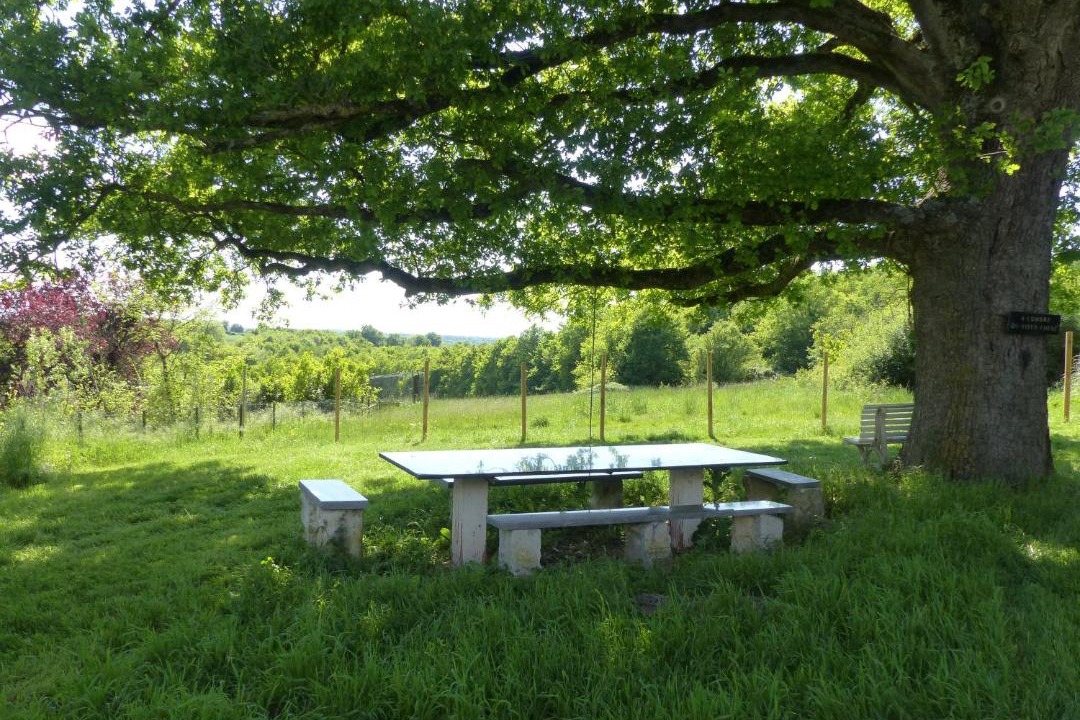 Photo of Others in Touchay