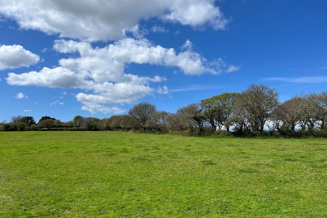 Photo of Others in Mabe