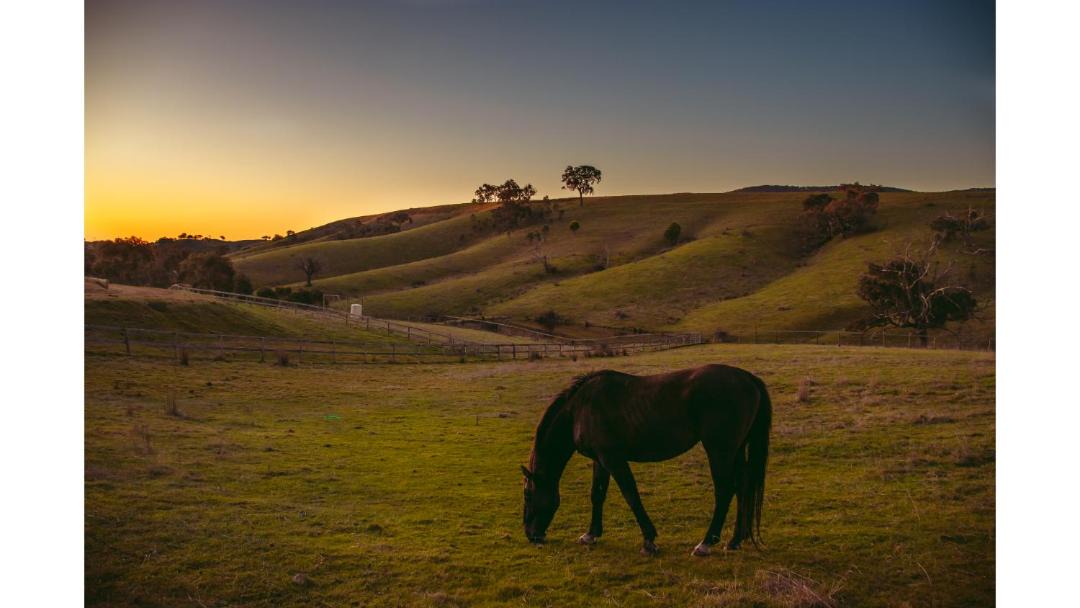 Photo of Others in Tyaak