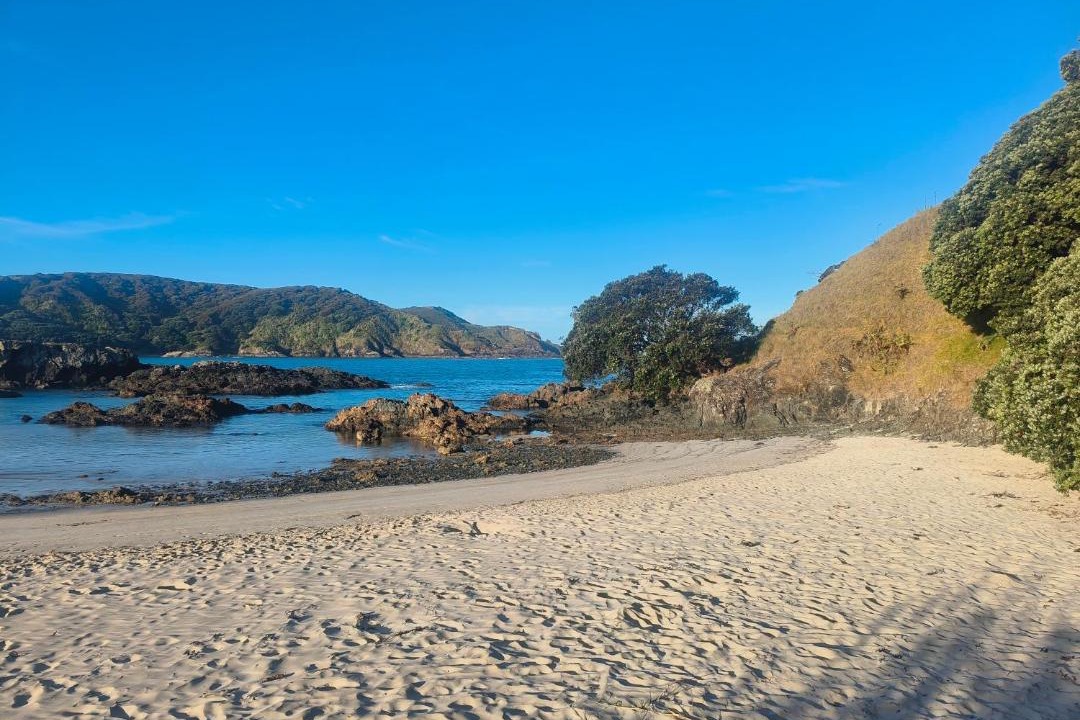 Photo of Others in Merita