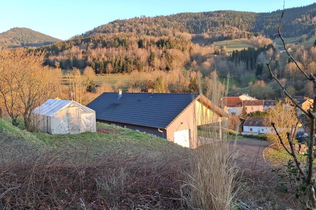 Photo of Others in Wisembach