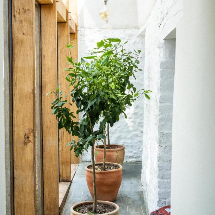 Photo of Others in Axminster