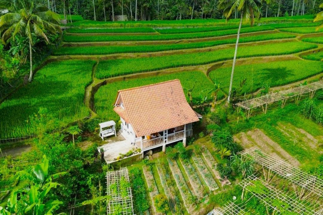 Photo of Others in Banyuwangi