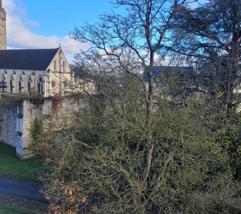 Photo of Others in Soissons