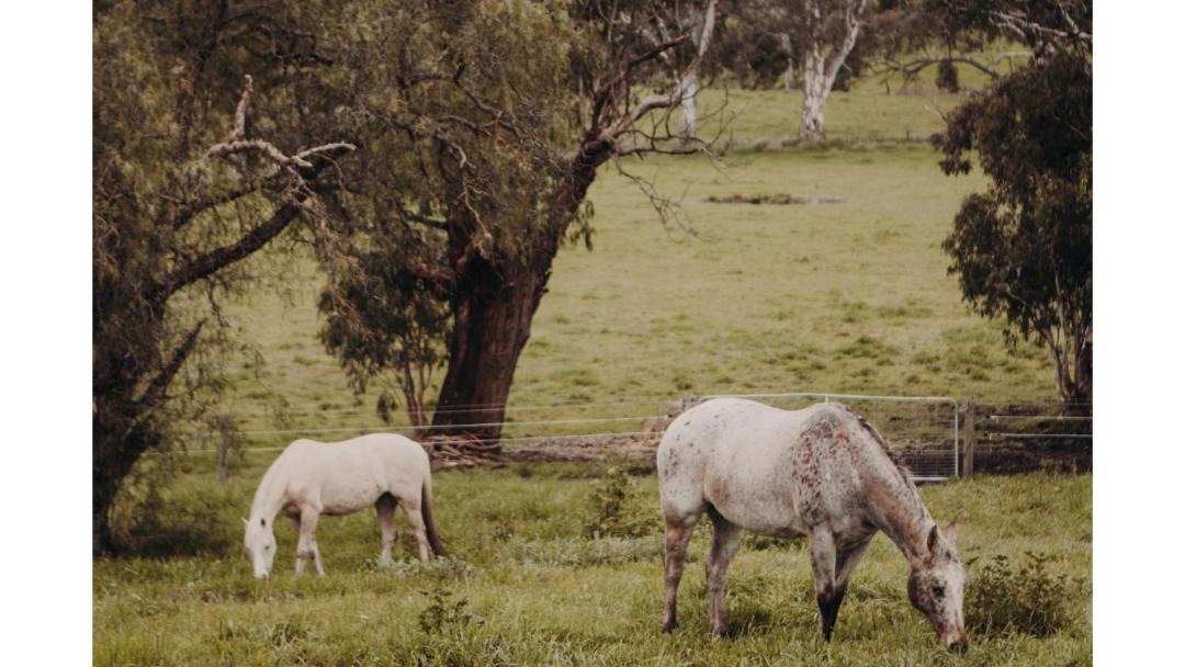 Photo of Others in Macclesfield