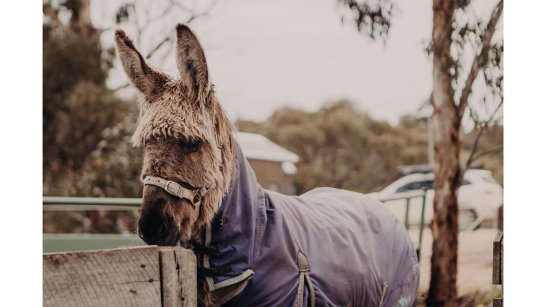 Photo of Others in Macclesfield