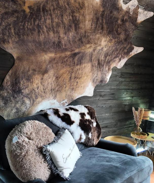 Photo of Livingroom in Shobdon