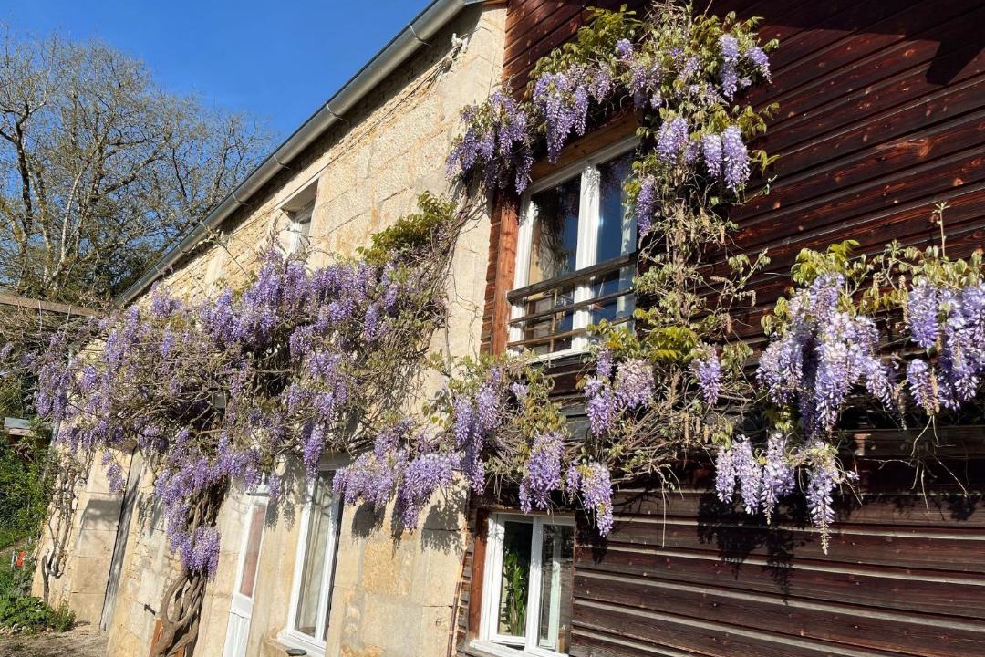 Photo of Others in Saint-Germain-le-Rocheux