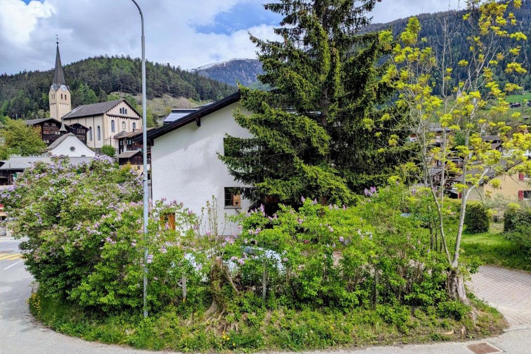 Photo of Others in Fiesch