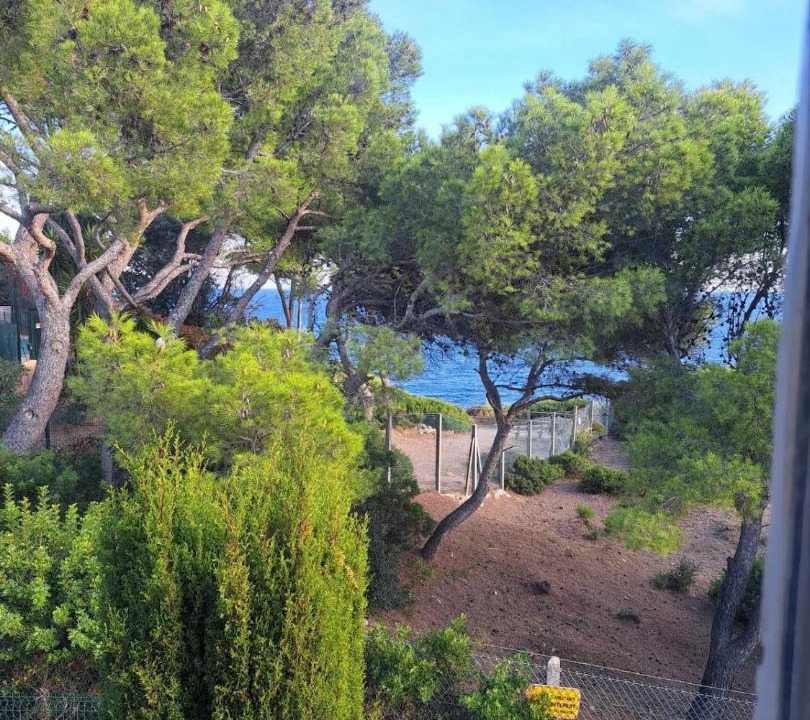 Photo of Others in Saint-Mandrier-sur-Mer