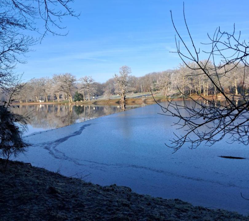 Photo of Others in Crux-la-Ville