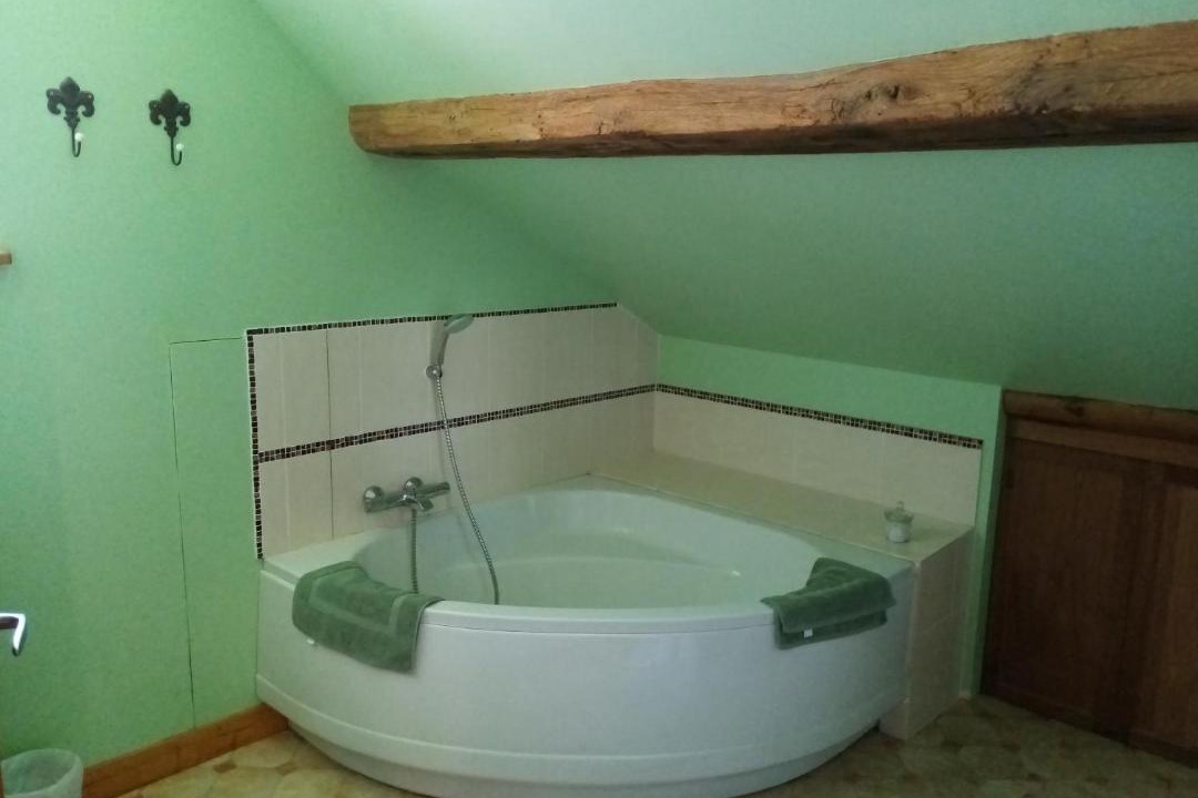 Photo of Bathroom in Crux-la-Ville