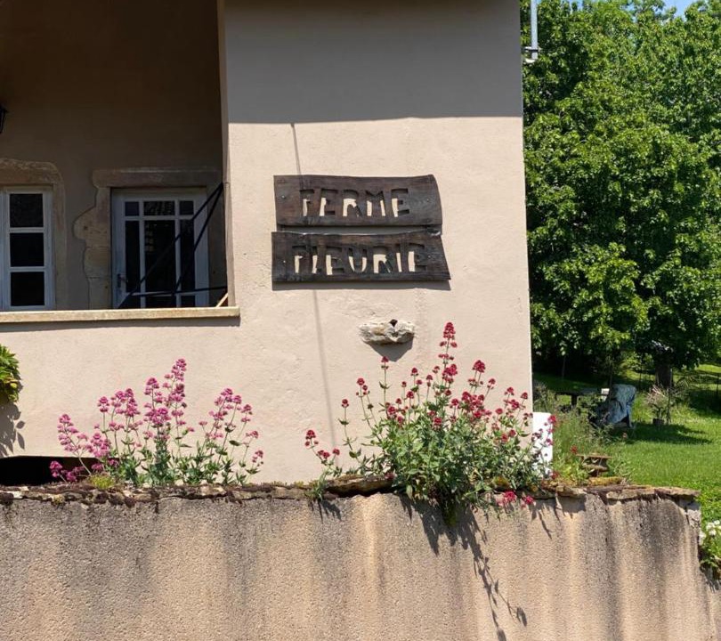 Photo of Others in Bergesserin