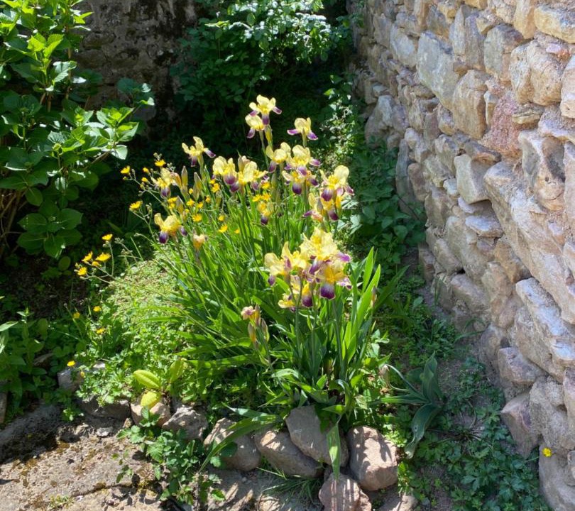 Photo of Others in Bergesserin