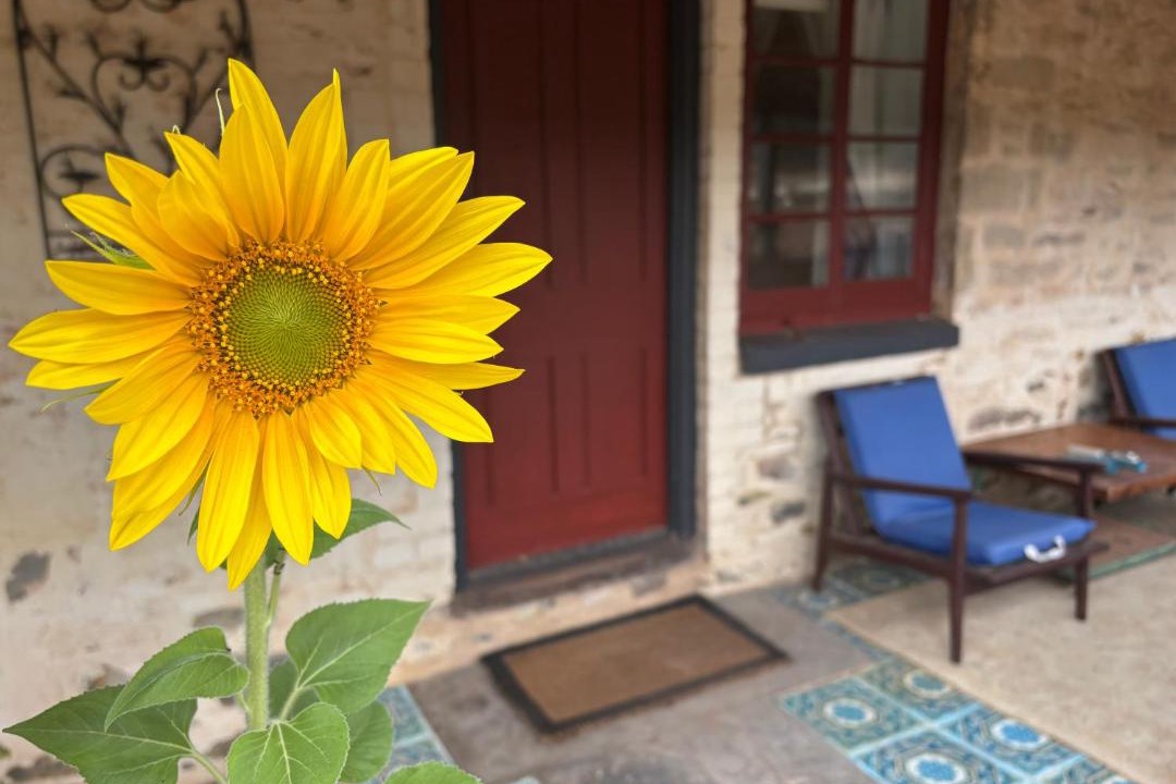 Photo of Others in Burra