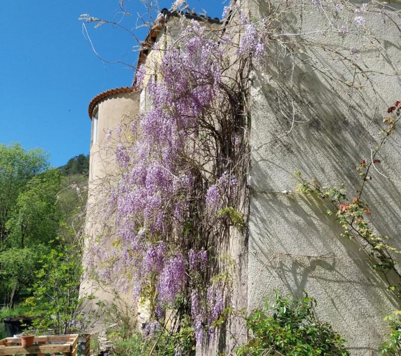 Photo of Others in Saint-Laurent-le-Minier