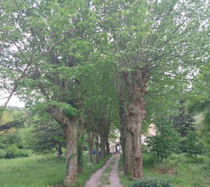Photo of Outdoor in Saint-Laurent-le-Minier