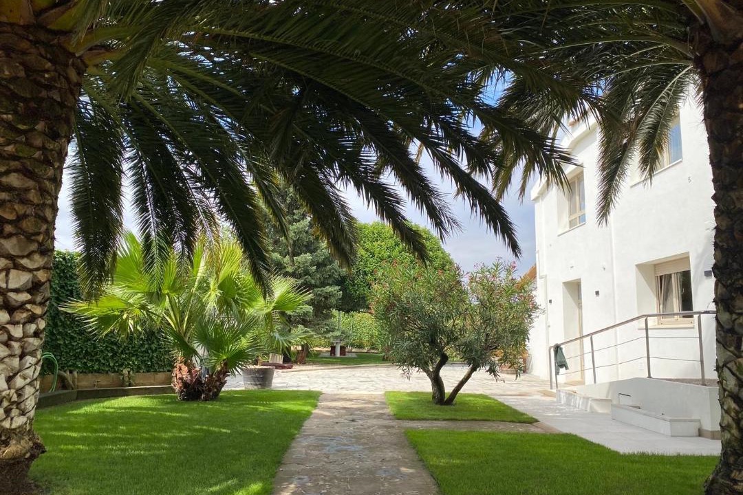 Photo of Others in Olite