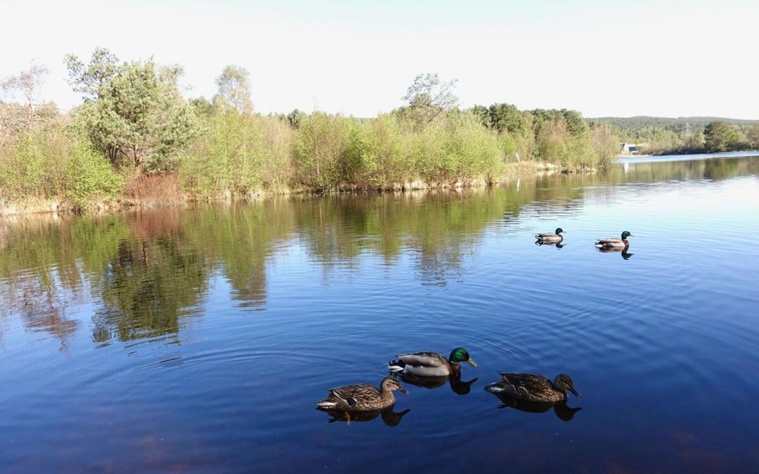 Photo of Others in Boat of Garten