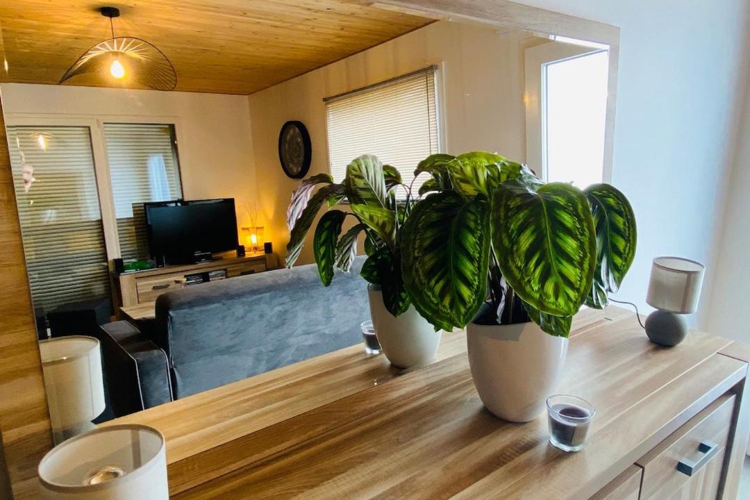 Photo of Others in Nouan-sur-Loire