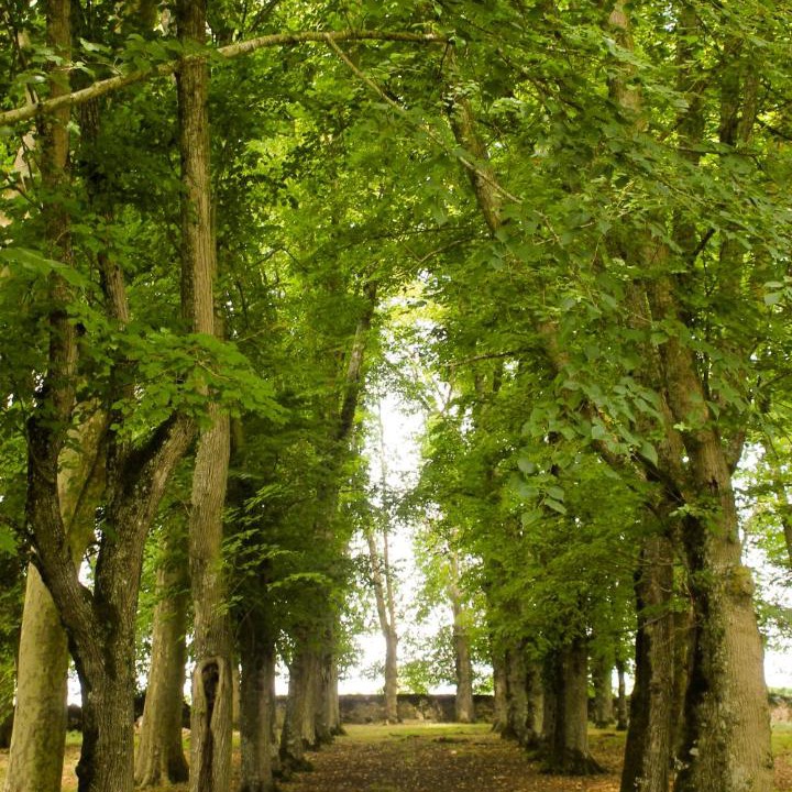 Photo of Others in Leigne-les-Bois