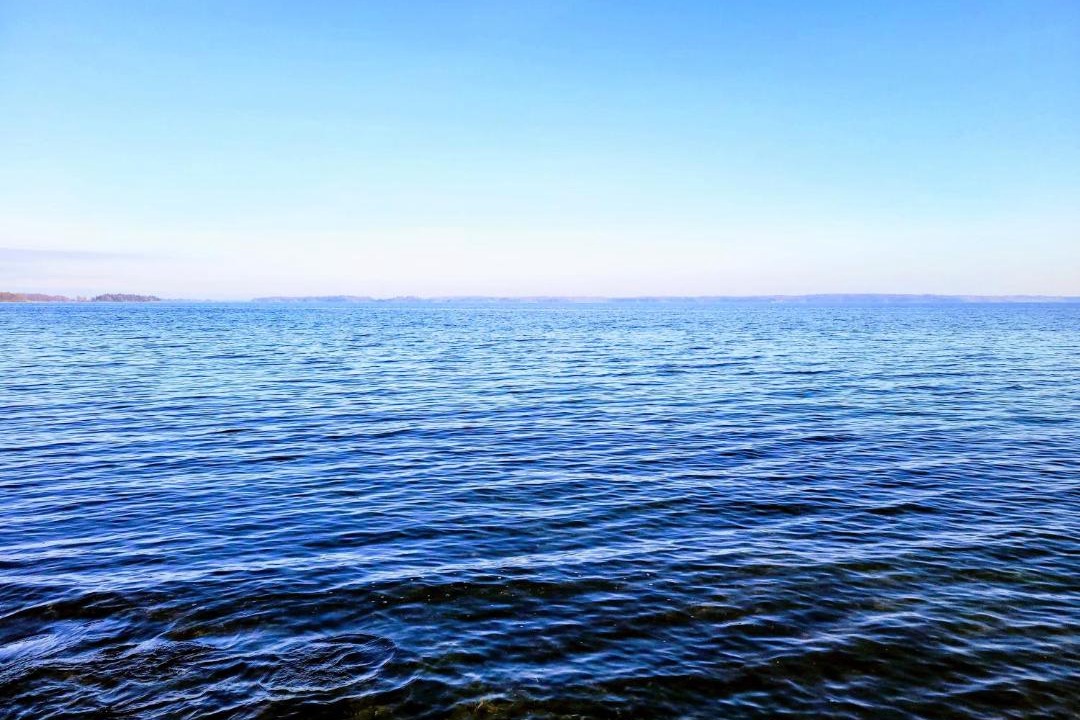 Photo of Others in Howe Island